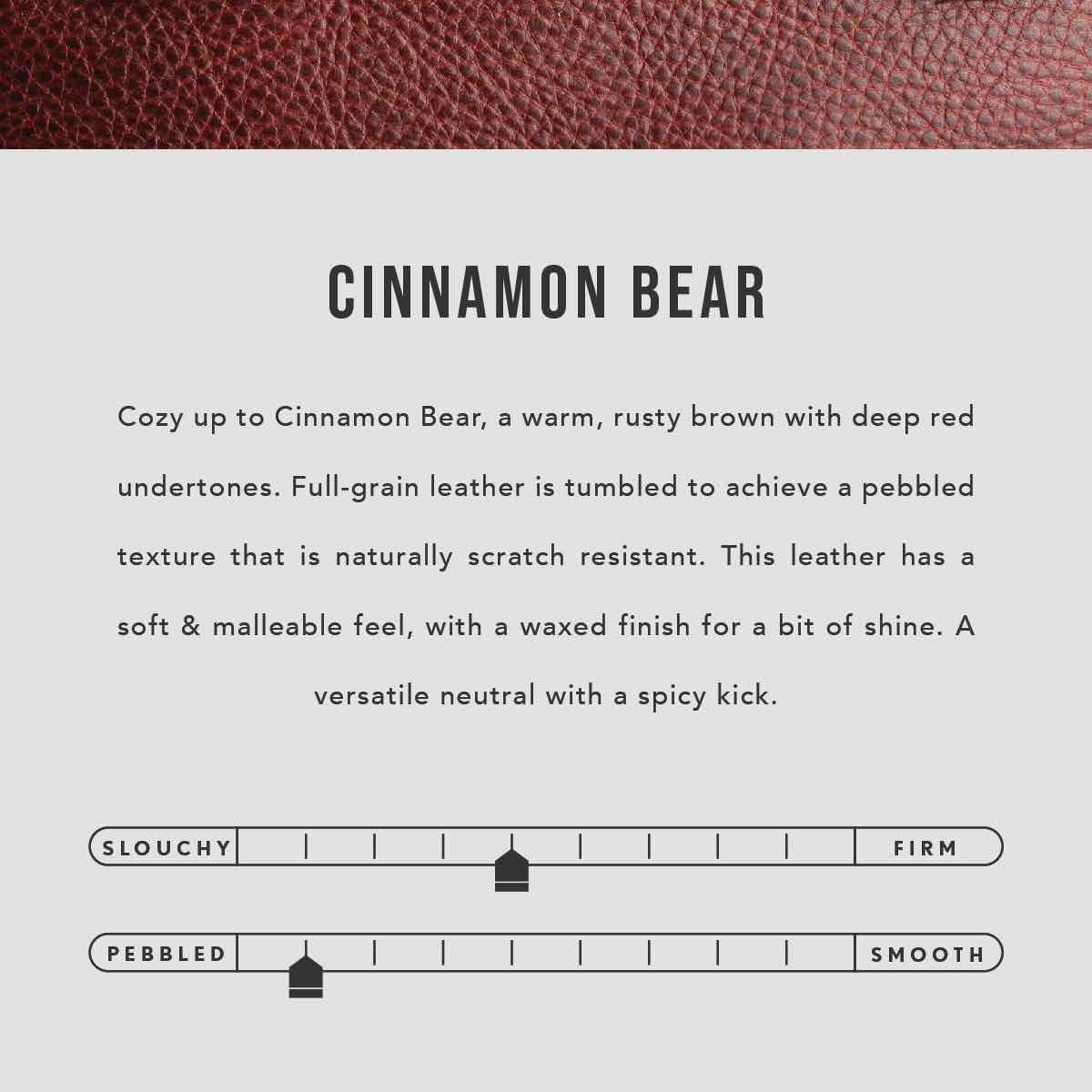 Cinnamon Bear | infographic