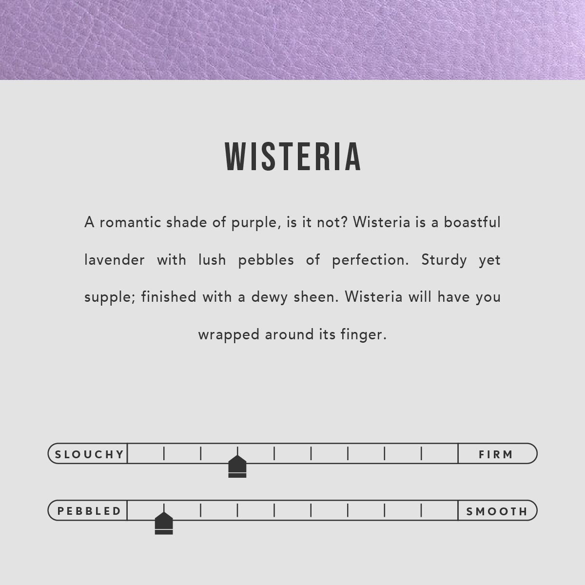 Wisteria | infographic