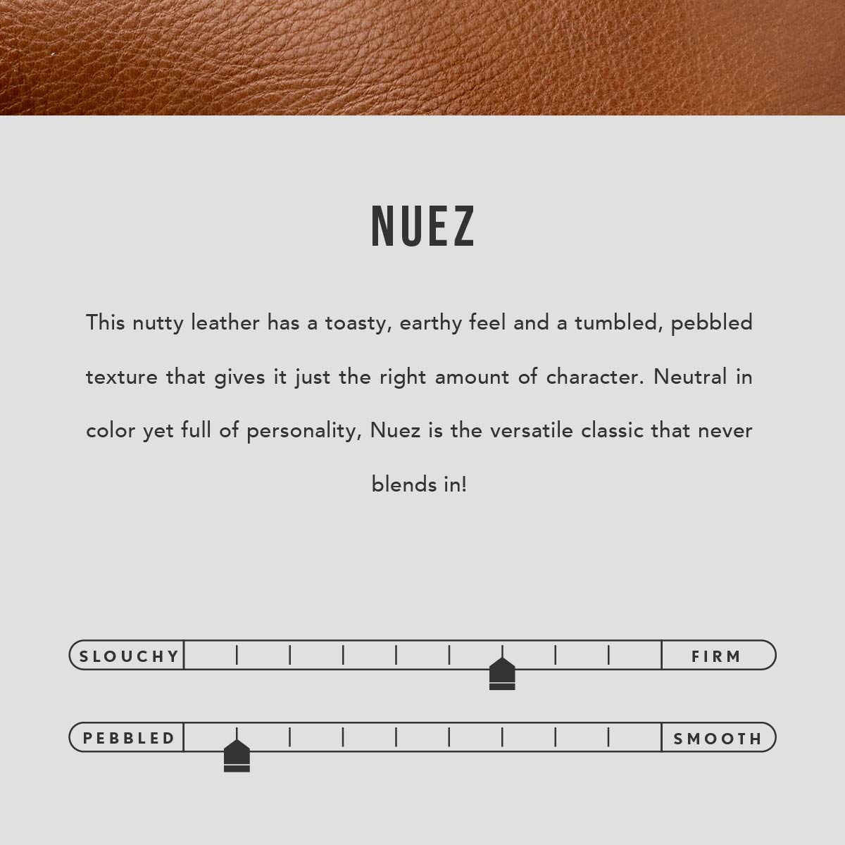 Nuez | infographic