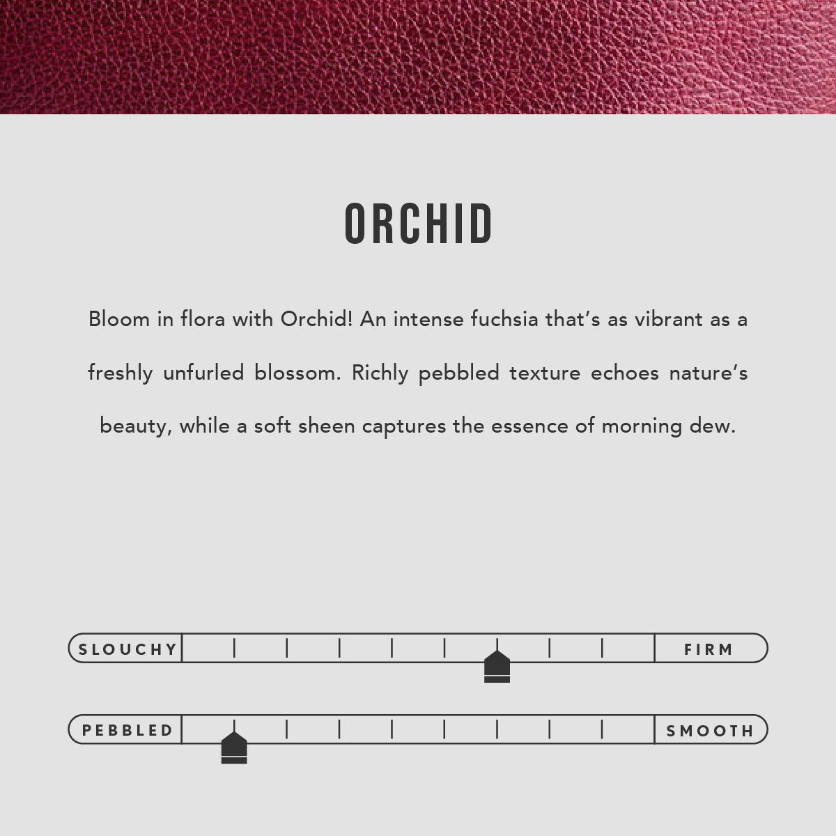 Orchid | infographic