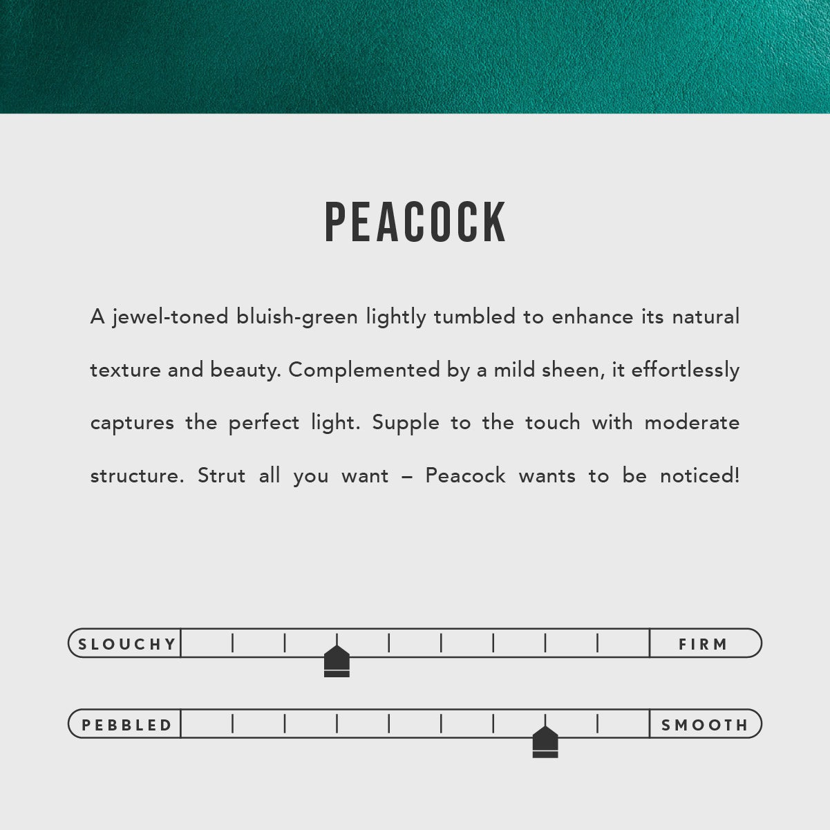 All Color: Peacock | infographic