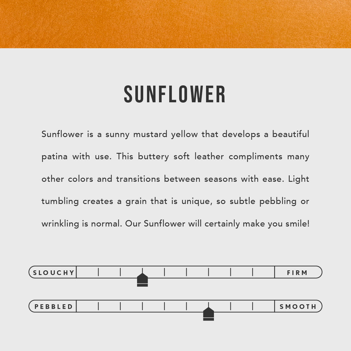 All Color: Sunflower | infographic