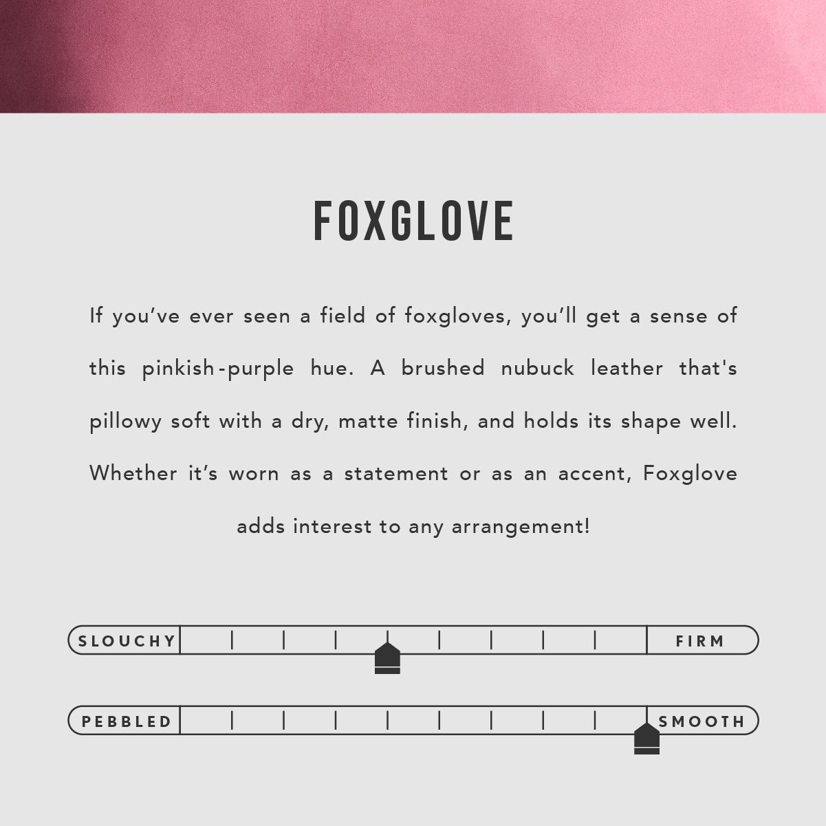 All Color: Foxglove | infographic