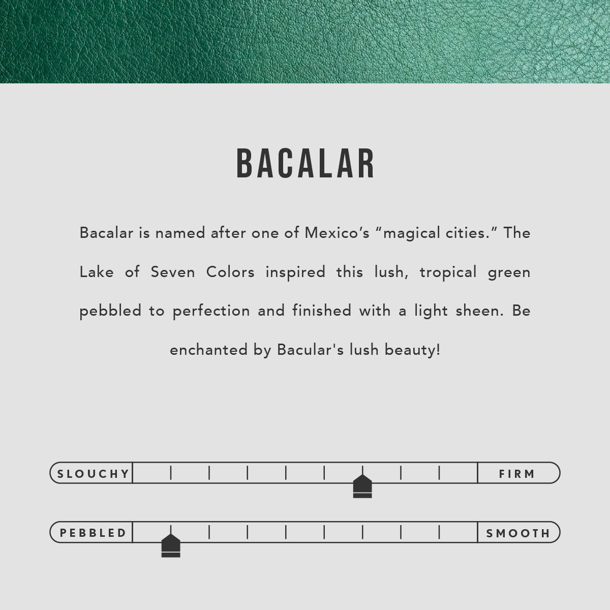 Bacalar | Petite bucket shaped tote bag with matching leather handles | infographic