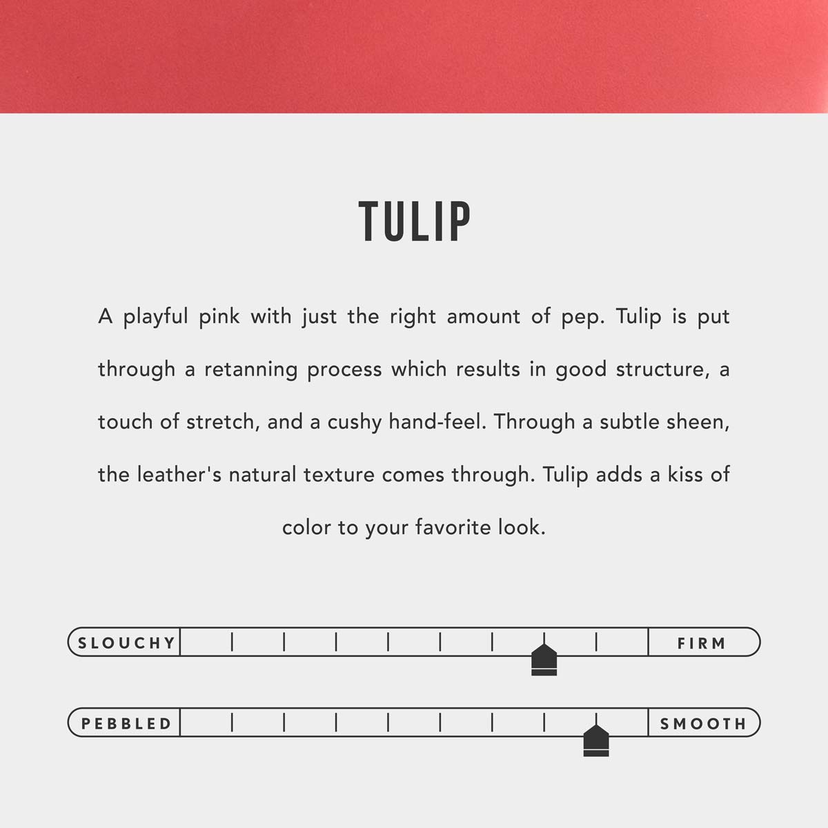 All Color: Tulip | infographic